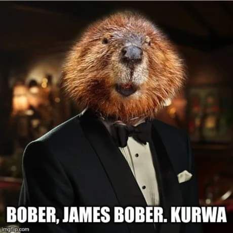 007