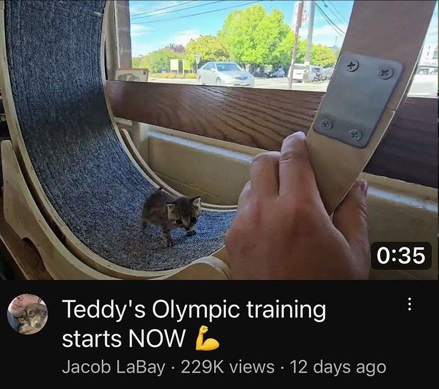 Godspeed, Teddy
