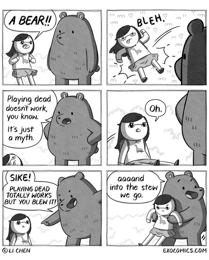 stew