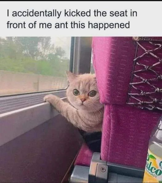 Sorry, sir...