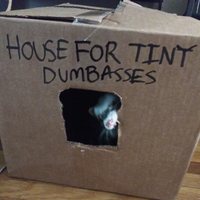 ***