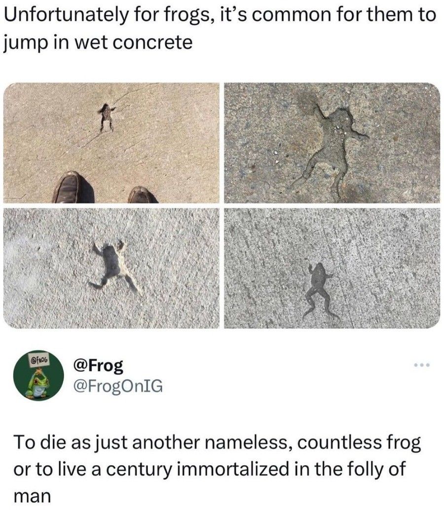 It is wednesday my dudes