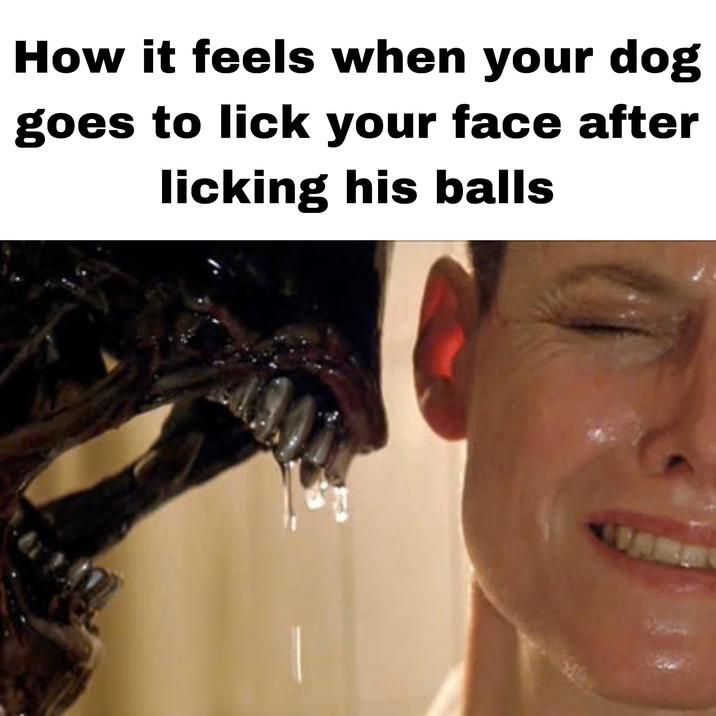 *your