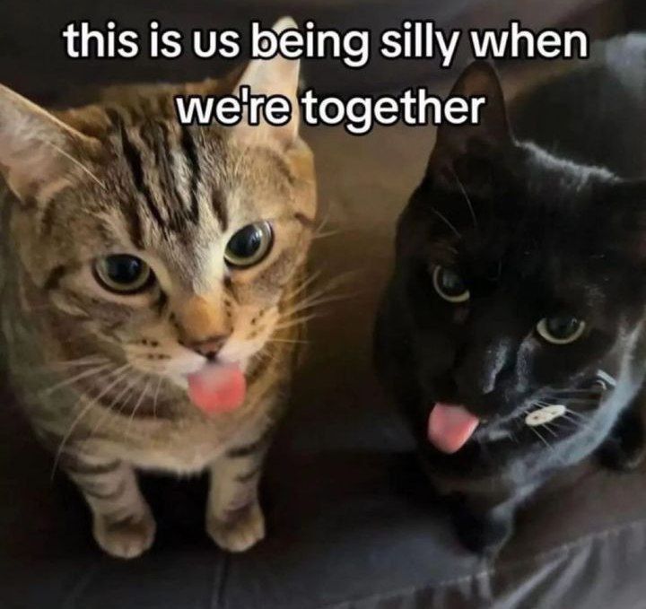 ***