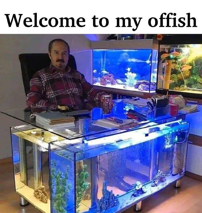 Le fish