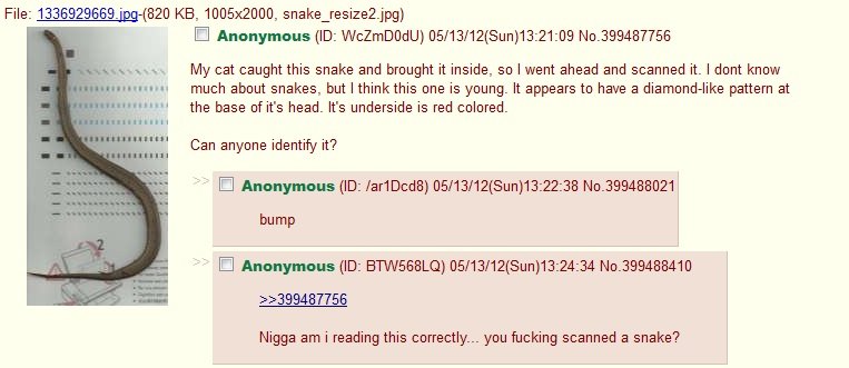 Genius.