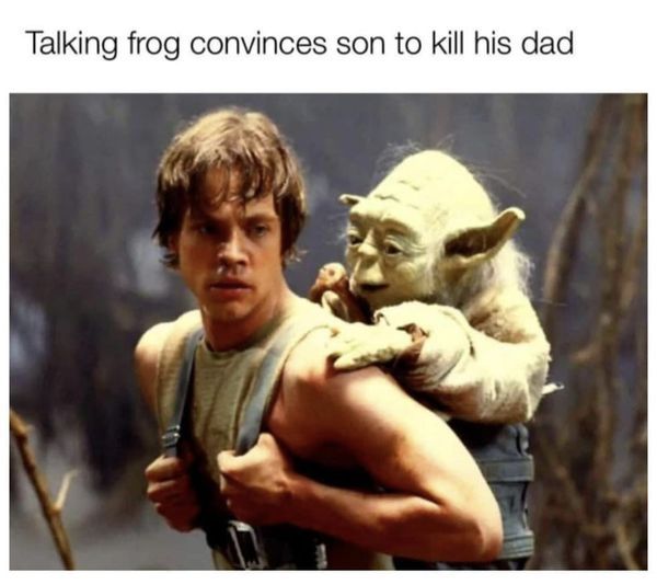 damn frogs