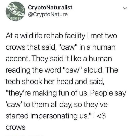 caw