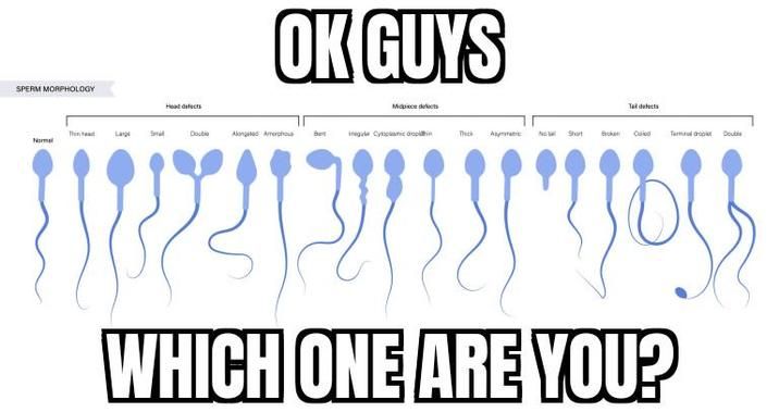 sperm reveal