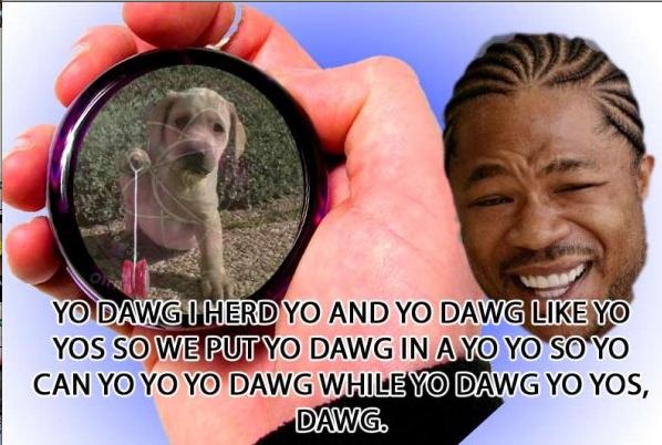 Yo dawg...