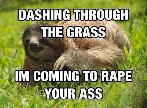 Sloths are merciless animals.