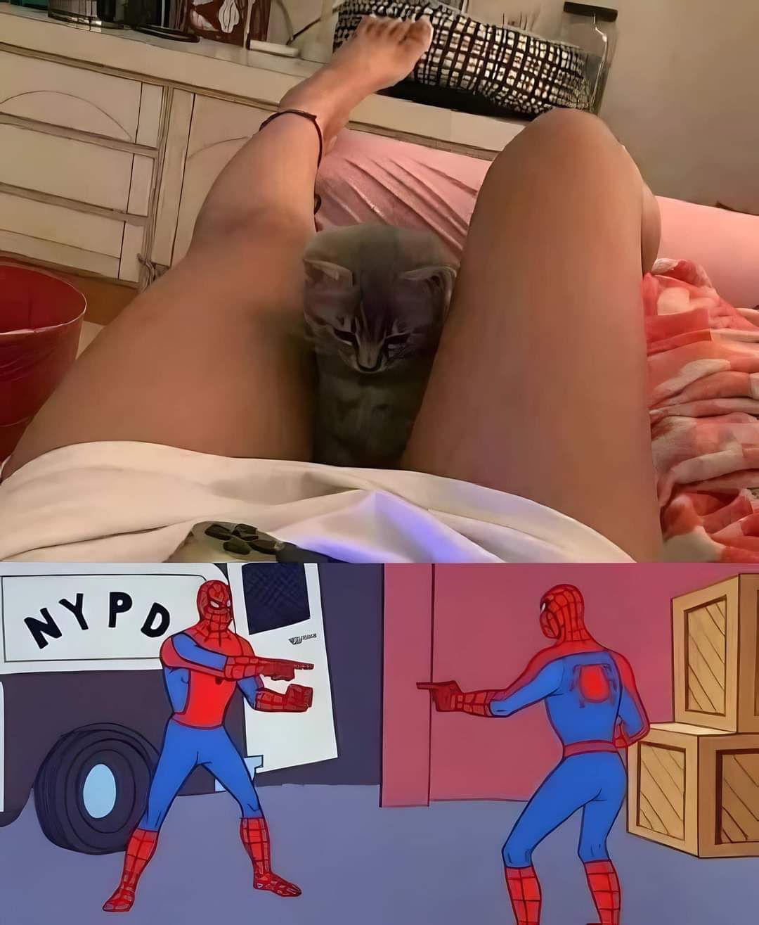 Puss Puss
