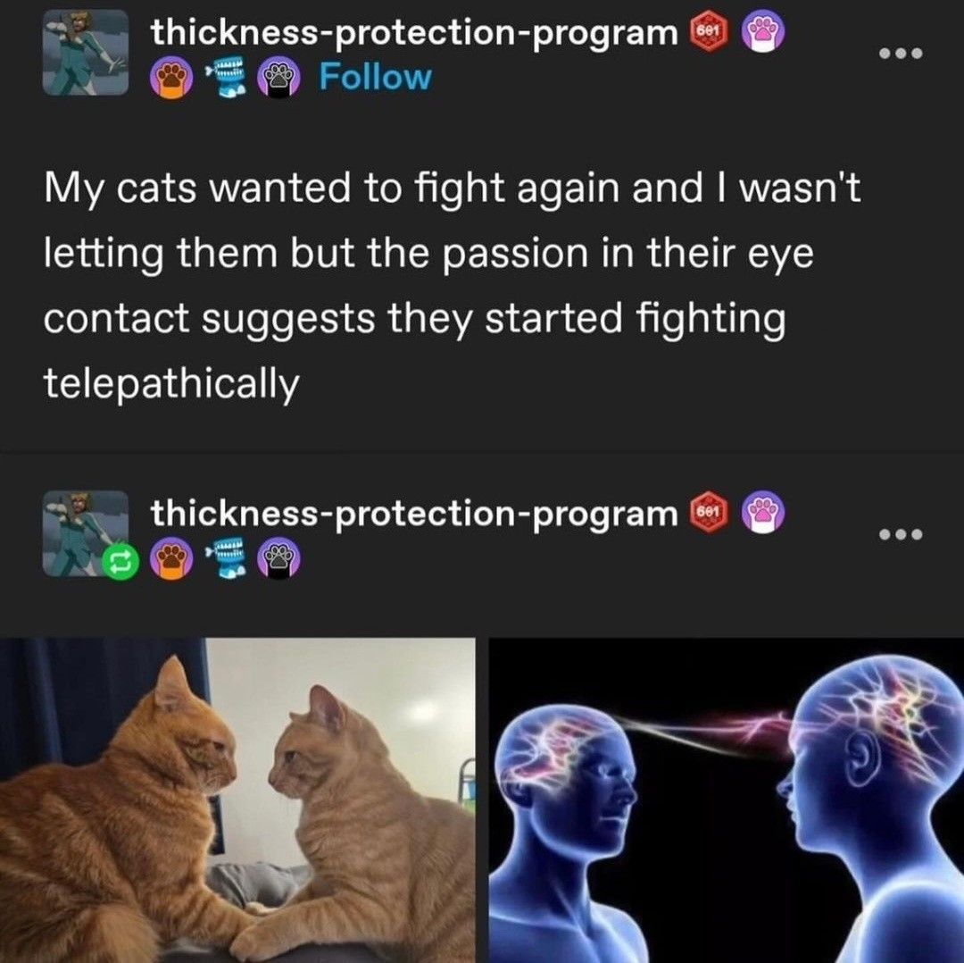 Our battle shall be 'till the death or 'till the giant intervenes