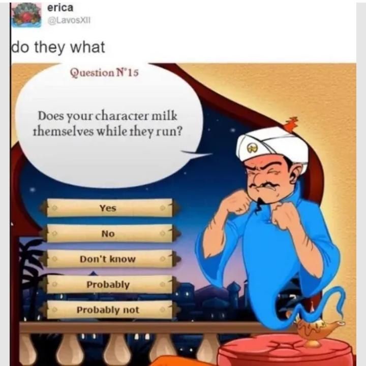 You can't fool the Akinator