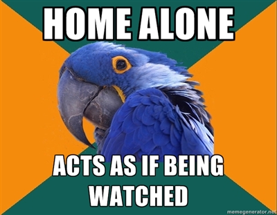 That's me
