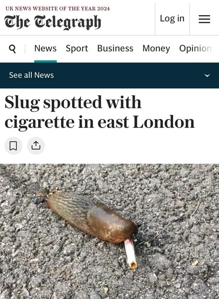 Where ya goin bruv?!