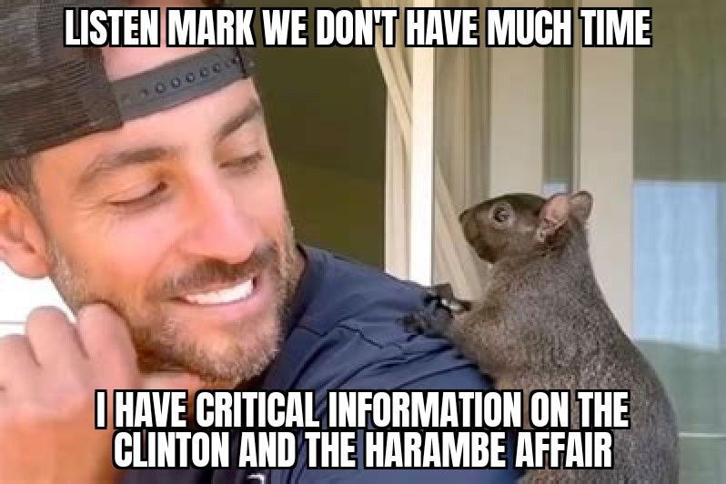 Why is nobody talking about his raccoon pet too?