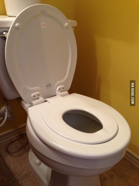Kids toilet extension or advanced sh*t difficulty ?