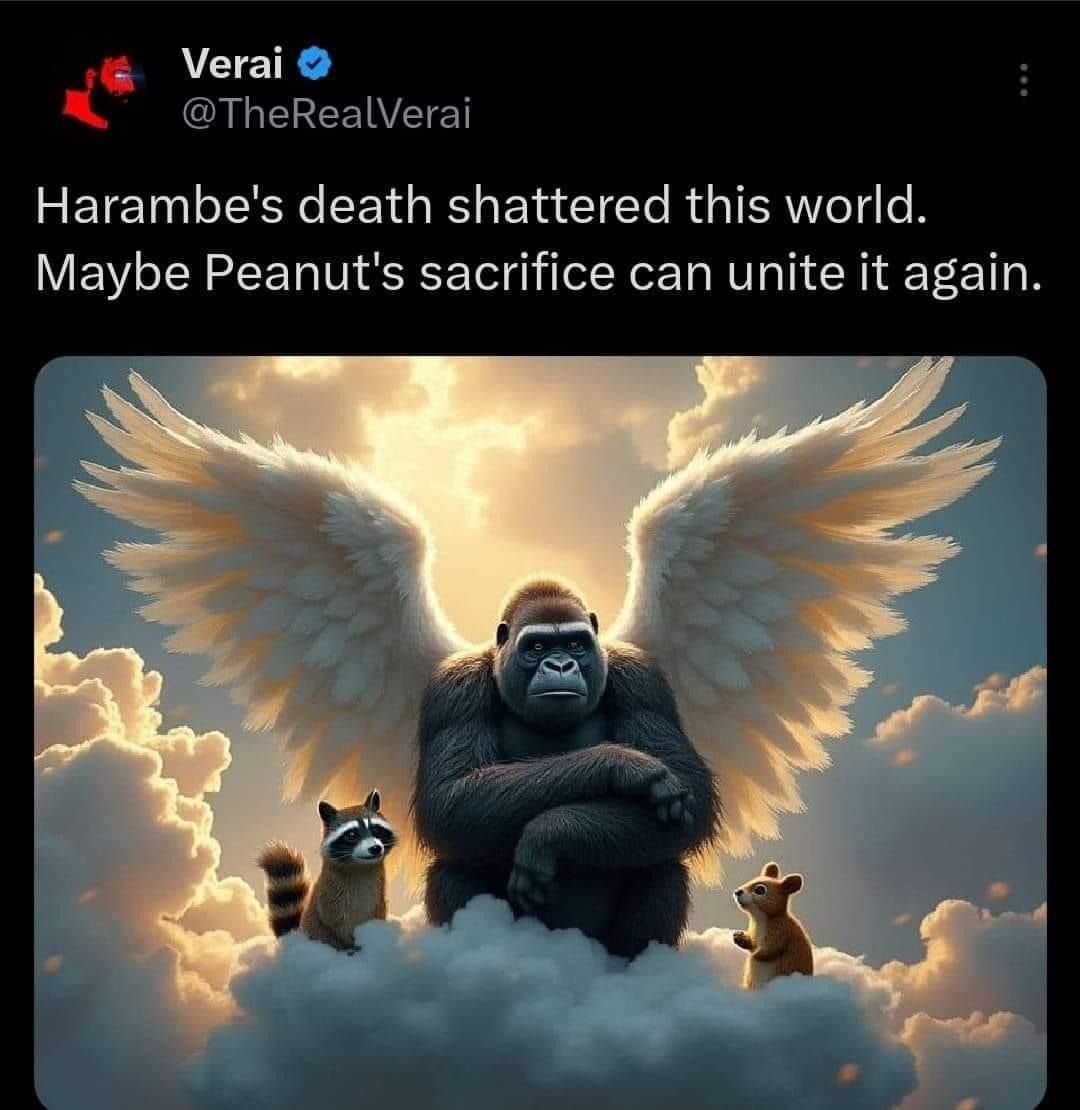 Either that or WW3