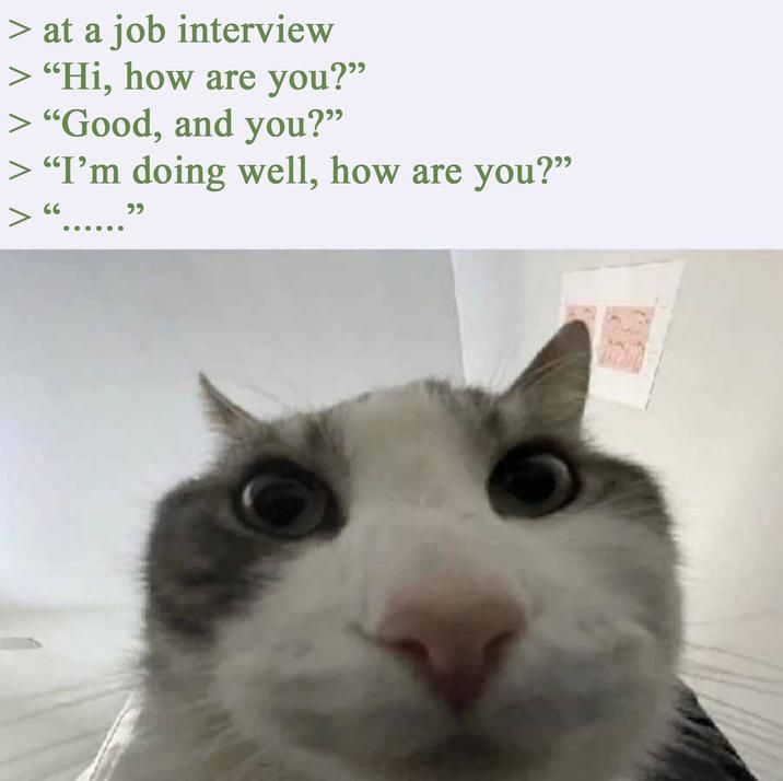 You're hired, welcome to the alzheimer research institute