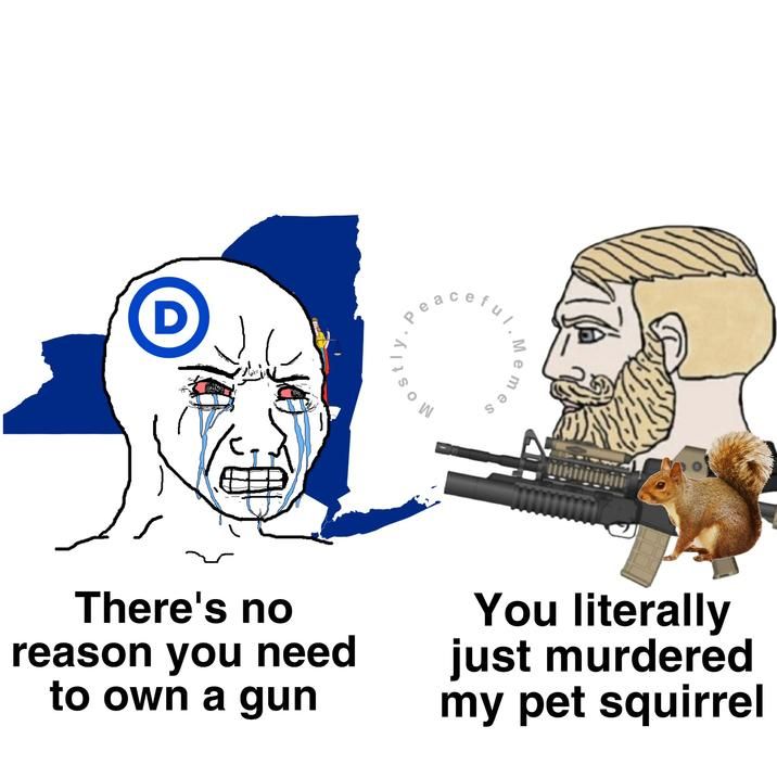 the squirrel mobilized so many angry voters that it flipped all the swing states