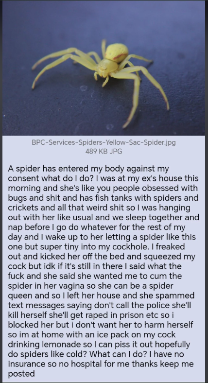 Anon meets spider queen.