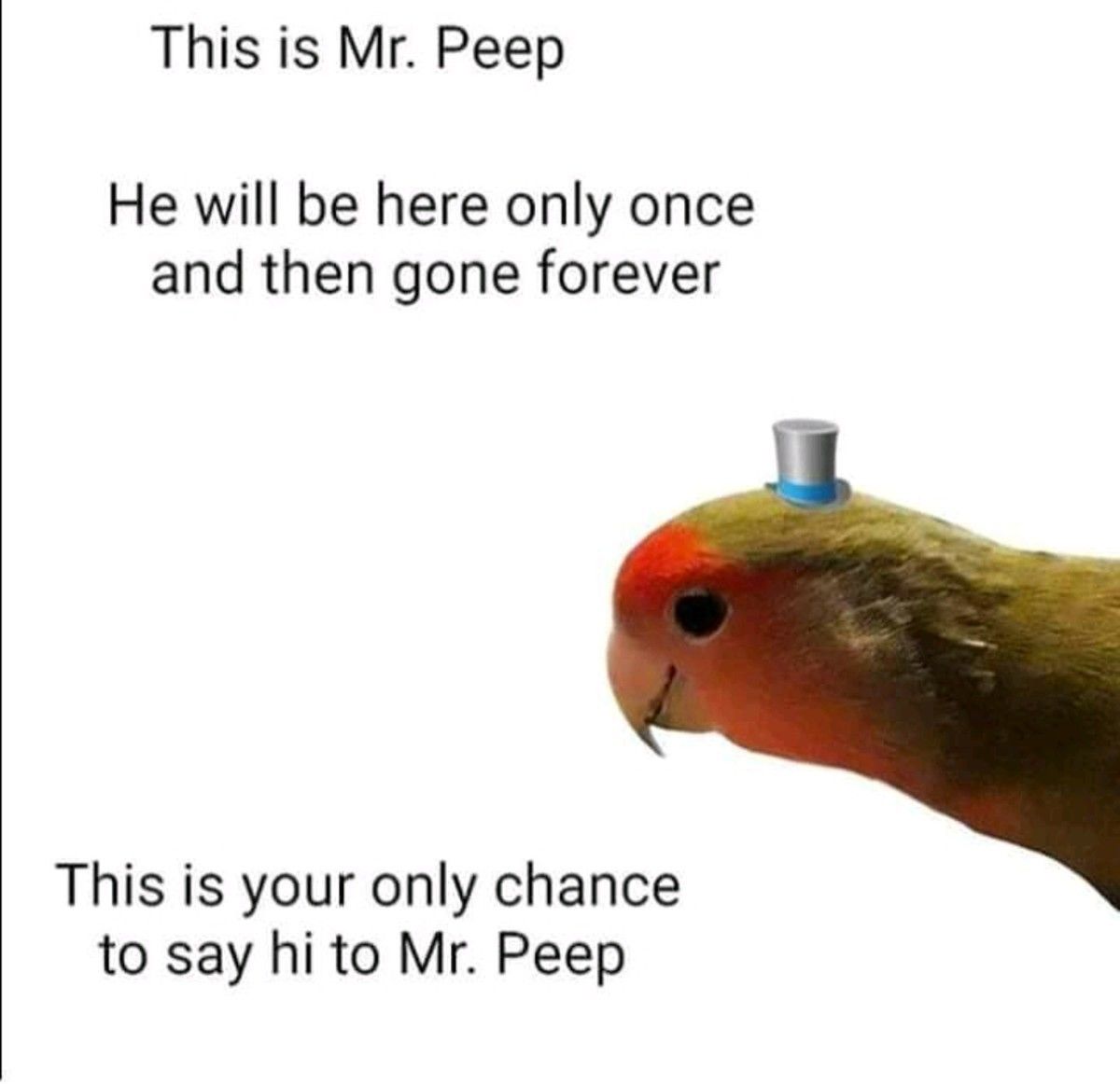 Mr Peep