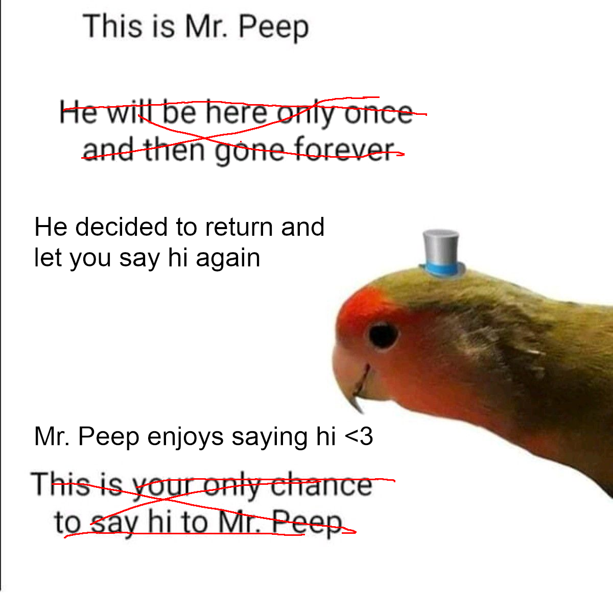 Mr Peep