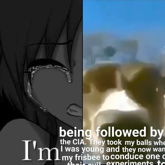 i'm