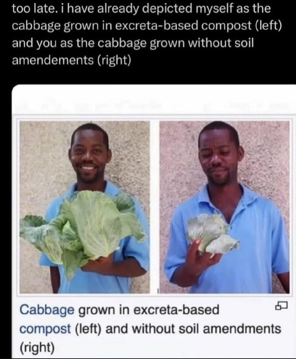 Cabbagjak