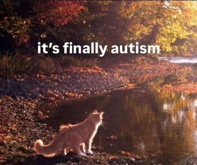 ***