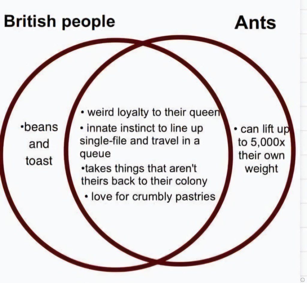 Why do ants not like mushy peas