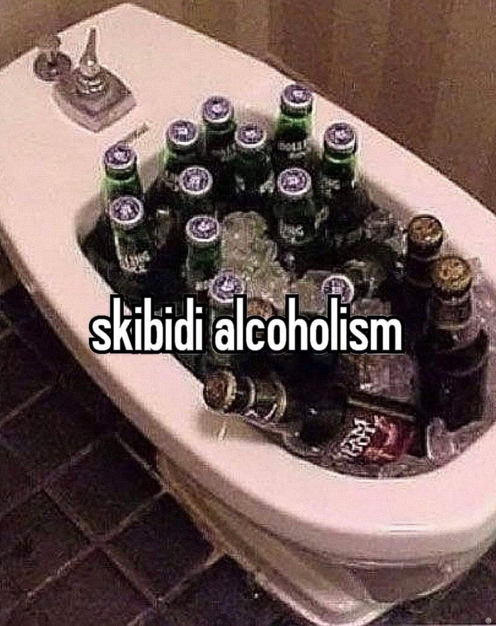 Skibidet