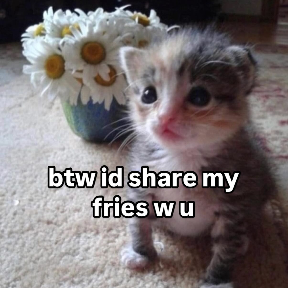 Tag the user u would share ur fries with