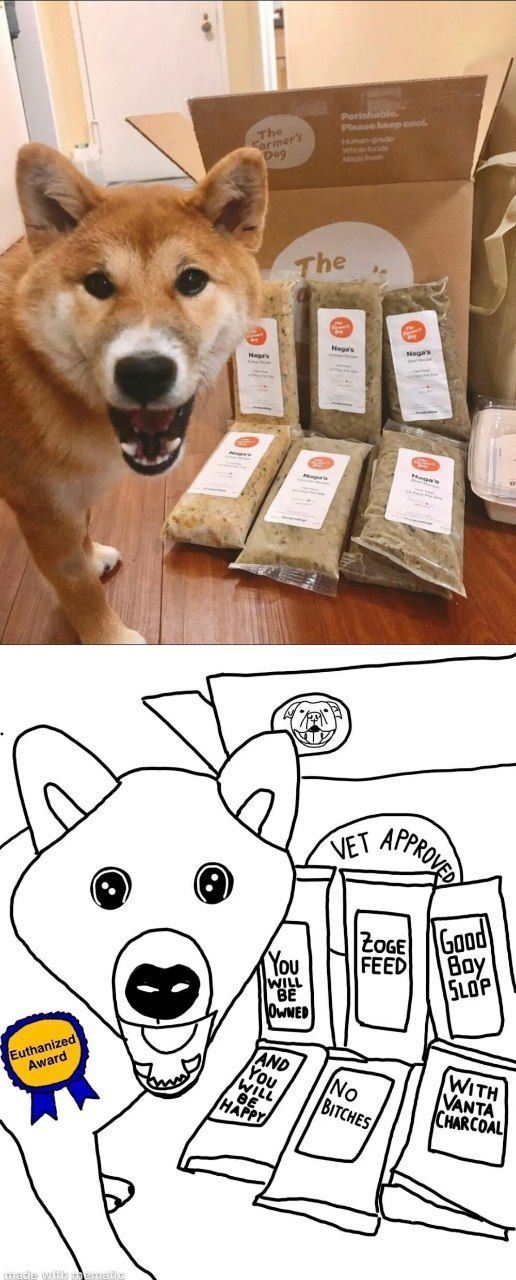 Soydog