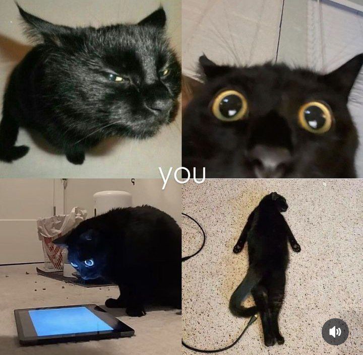 ***