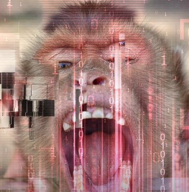 Return to monkey