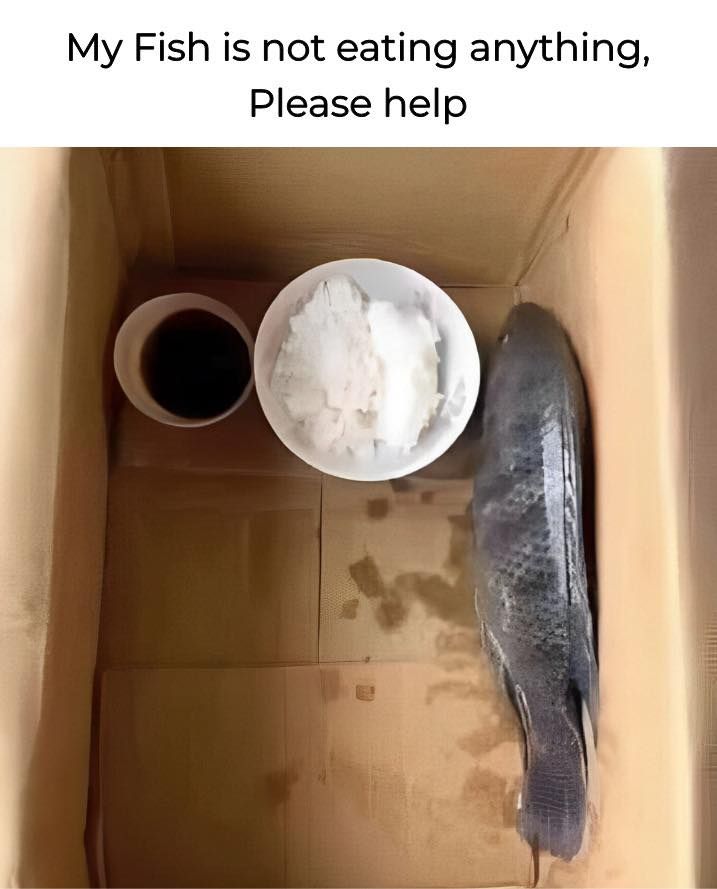 Steve please eat :(