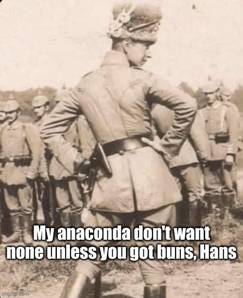 Prussian buns