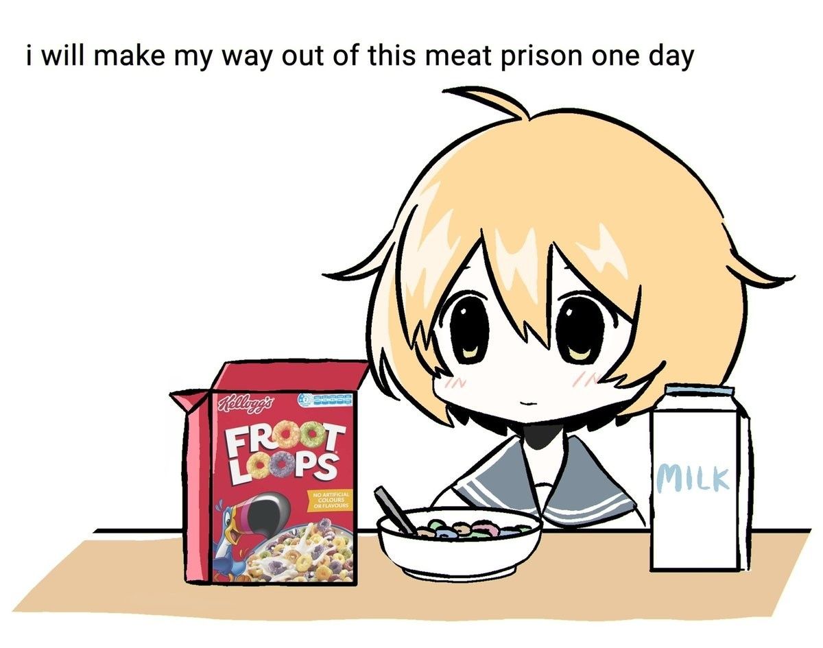 may i have some loops