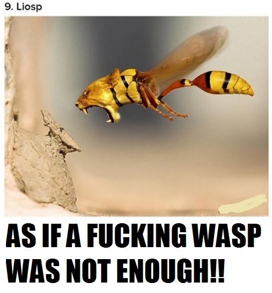 Liosp. As if a damn wasp wasn't enough,