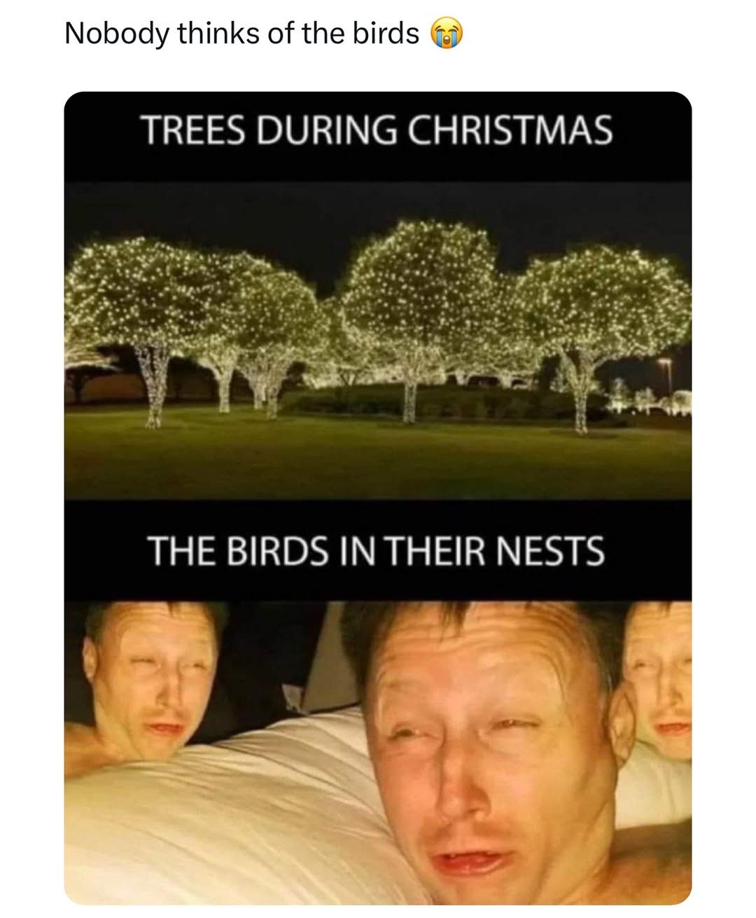 ¯\_(ツ)_/¯