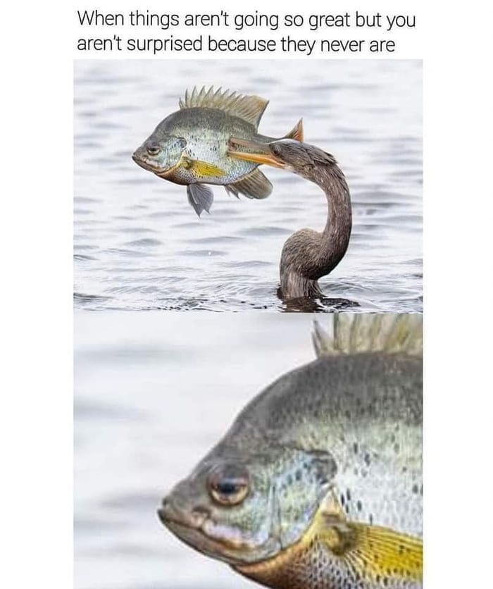 Next year, something will change, for sure