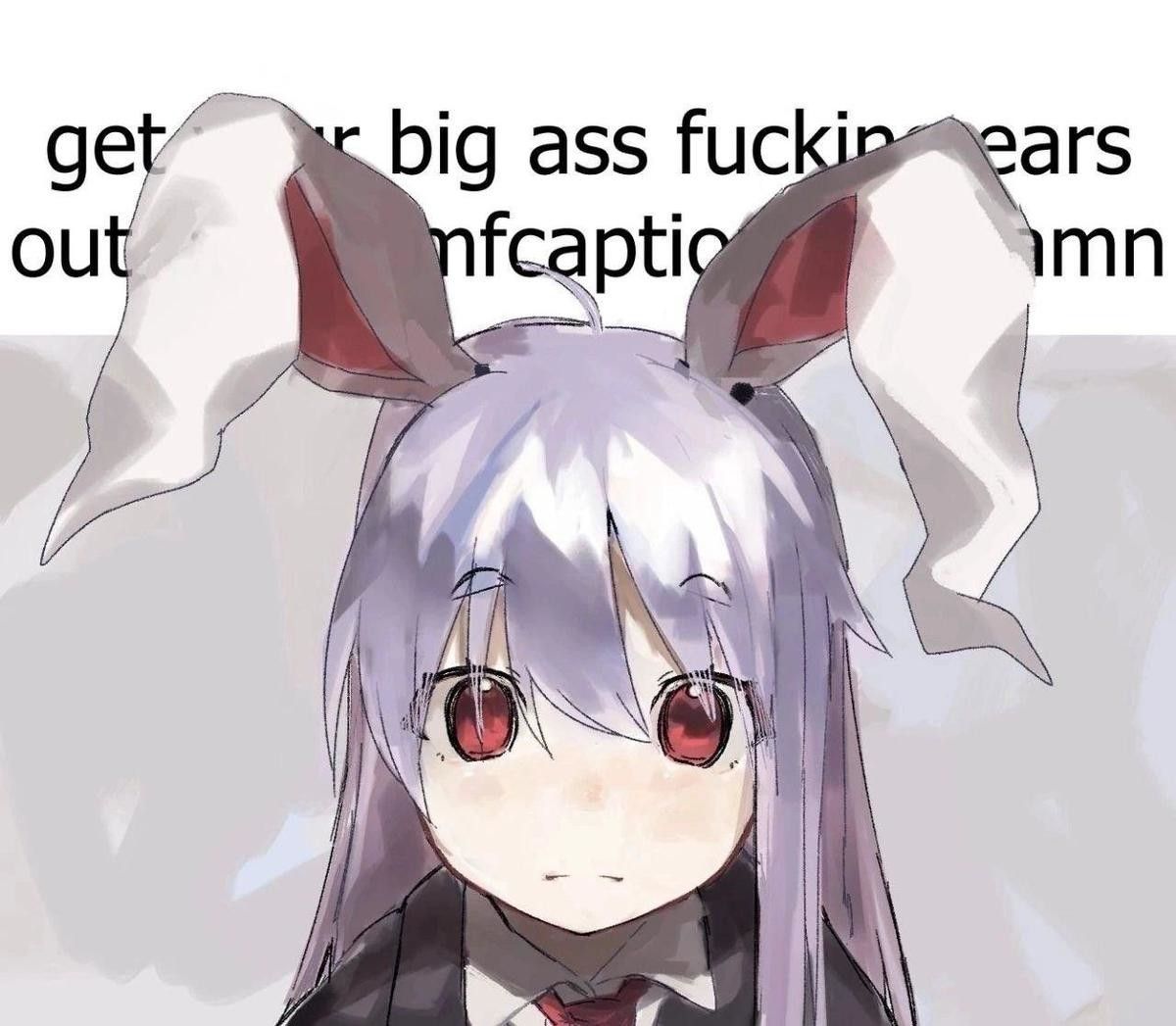 dumbo head ass