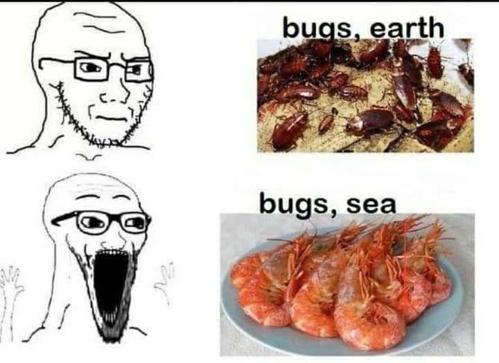 Sea bugs are goated
