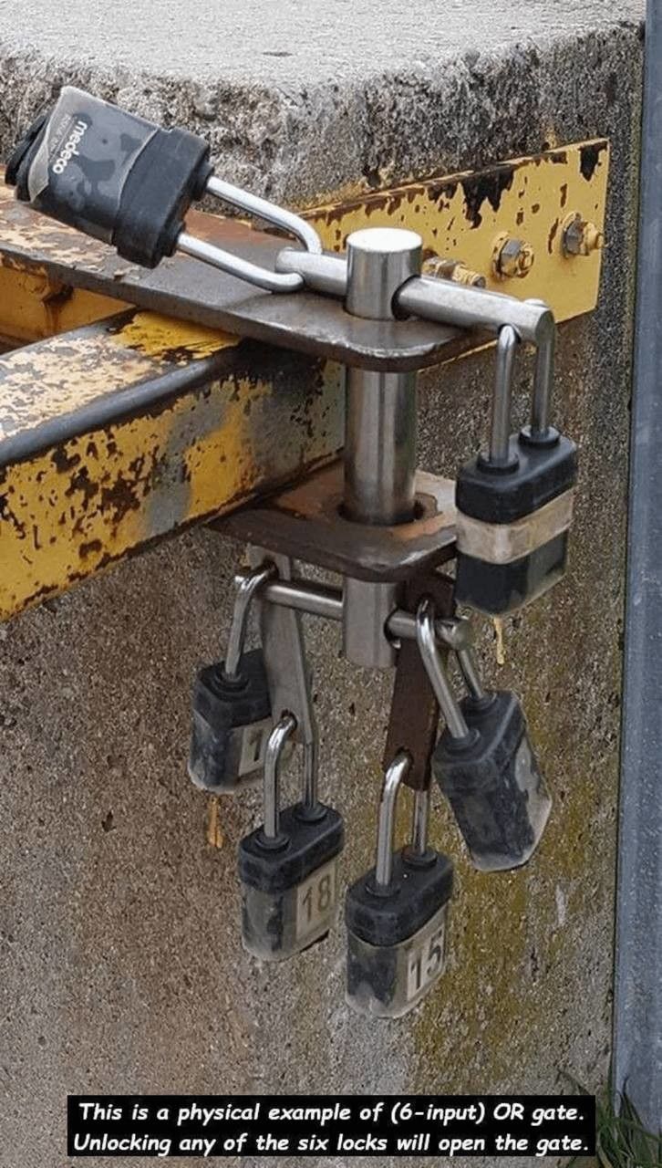 nuts