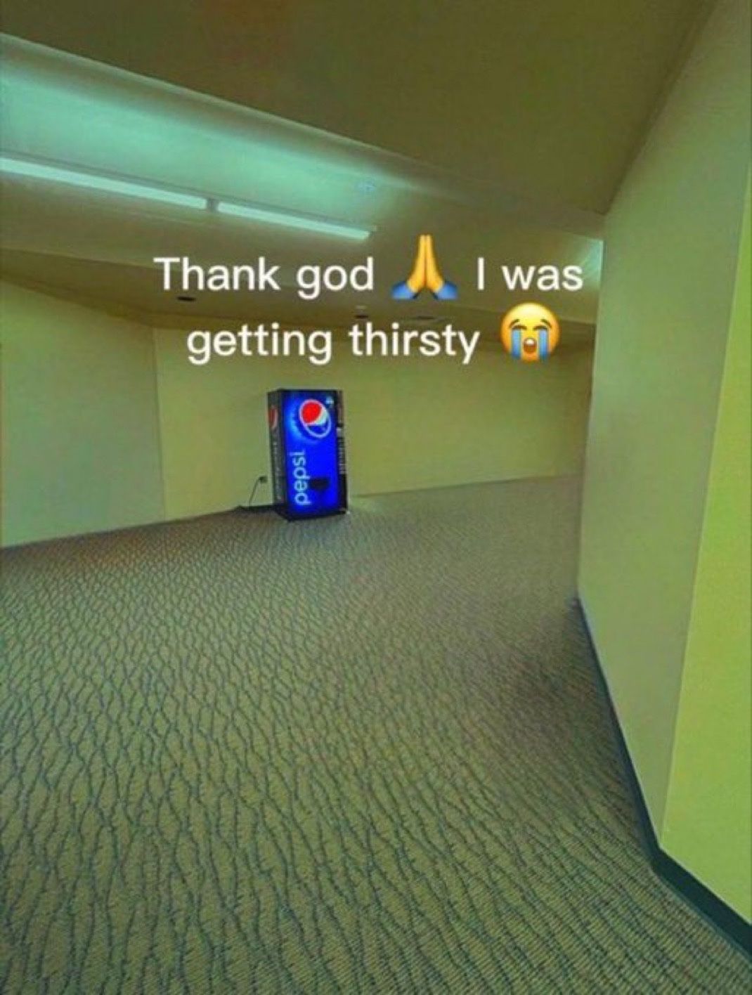 Bepis