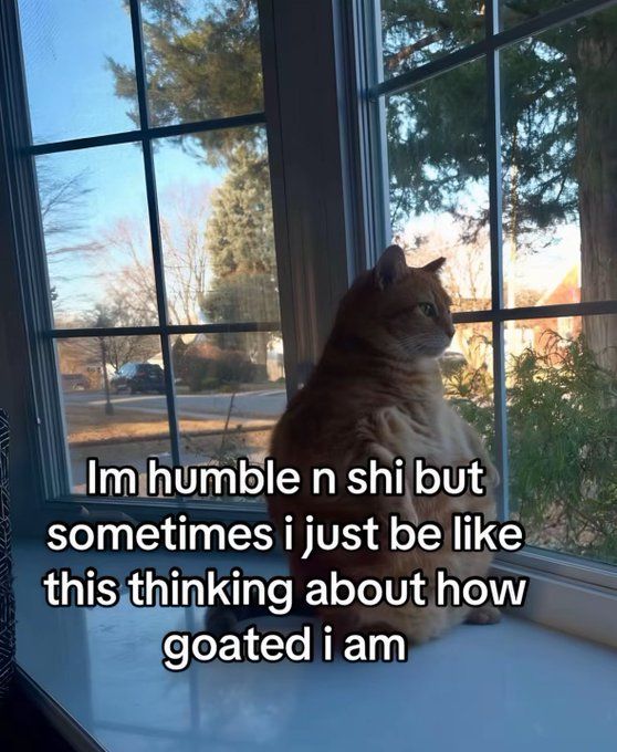 ***
