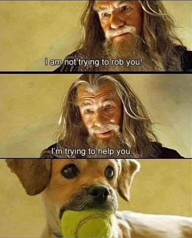 Trust me little fella