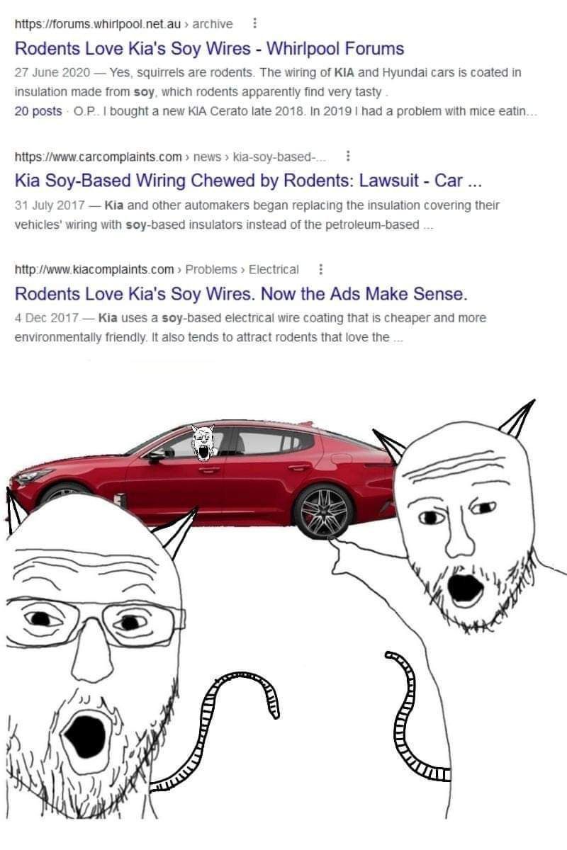 What did they expect